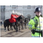 horseguards01.jpg