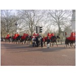 horseguardsparade01.jpg