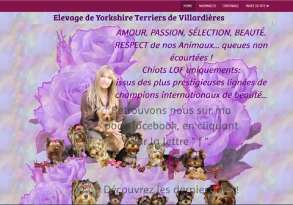 Exemple d'image utilisée en fond d'écran