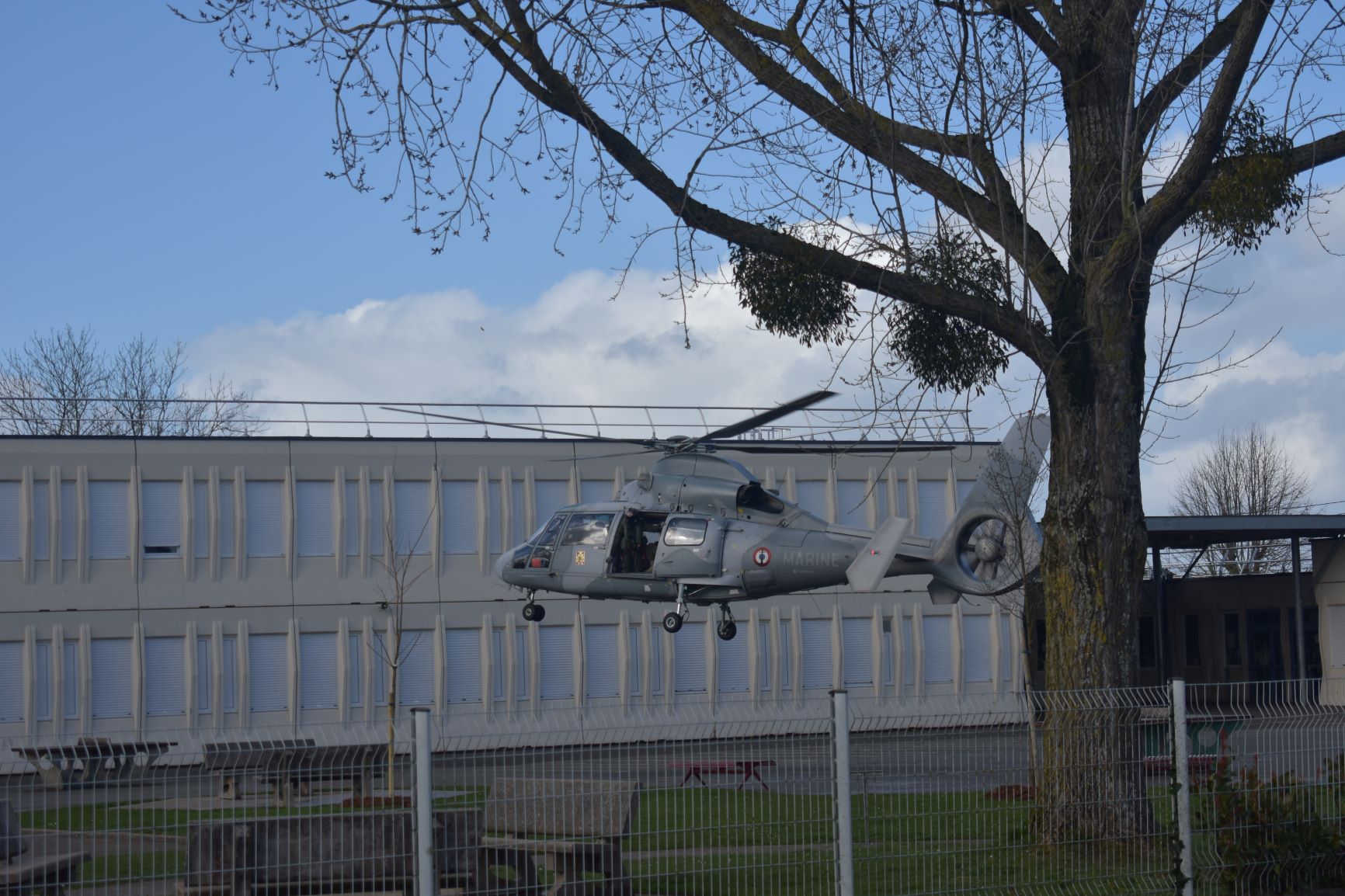 arrivée de l'hélicoptère Dauphin