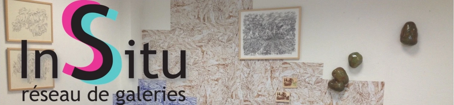 InSitu_réseau_de_galeries_accueil