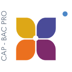 CAP BAC pro