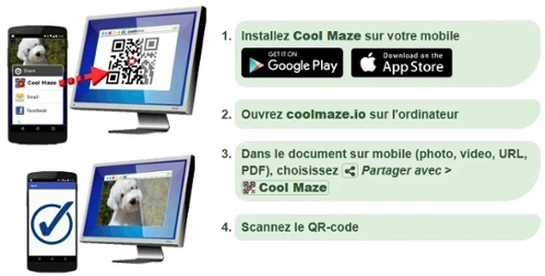 Capture CoolMaze