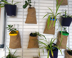 Mur de verdure