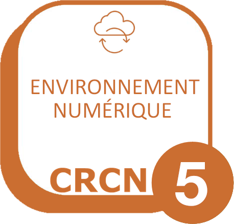 Domaine 5 : Environnement numérique