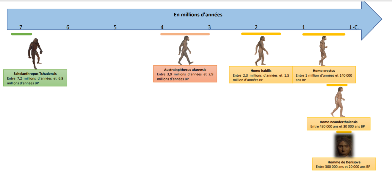 Frise Chronologique De La Préhistoire