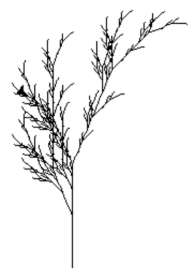 image d'une plante