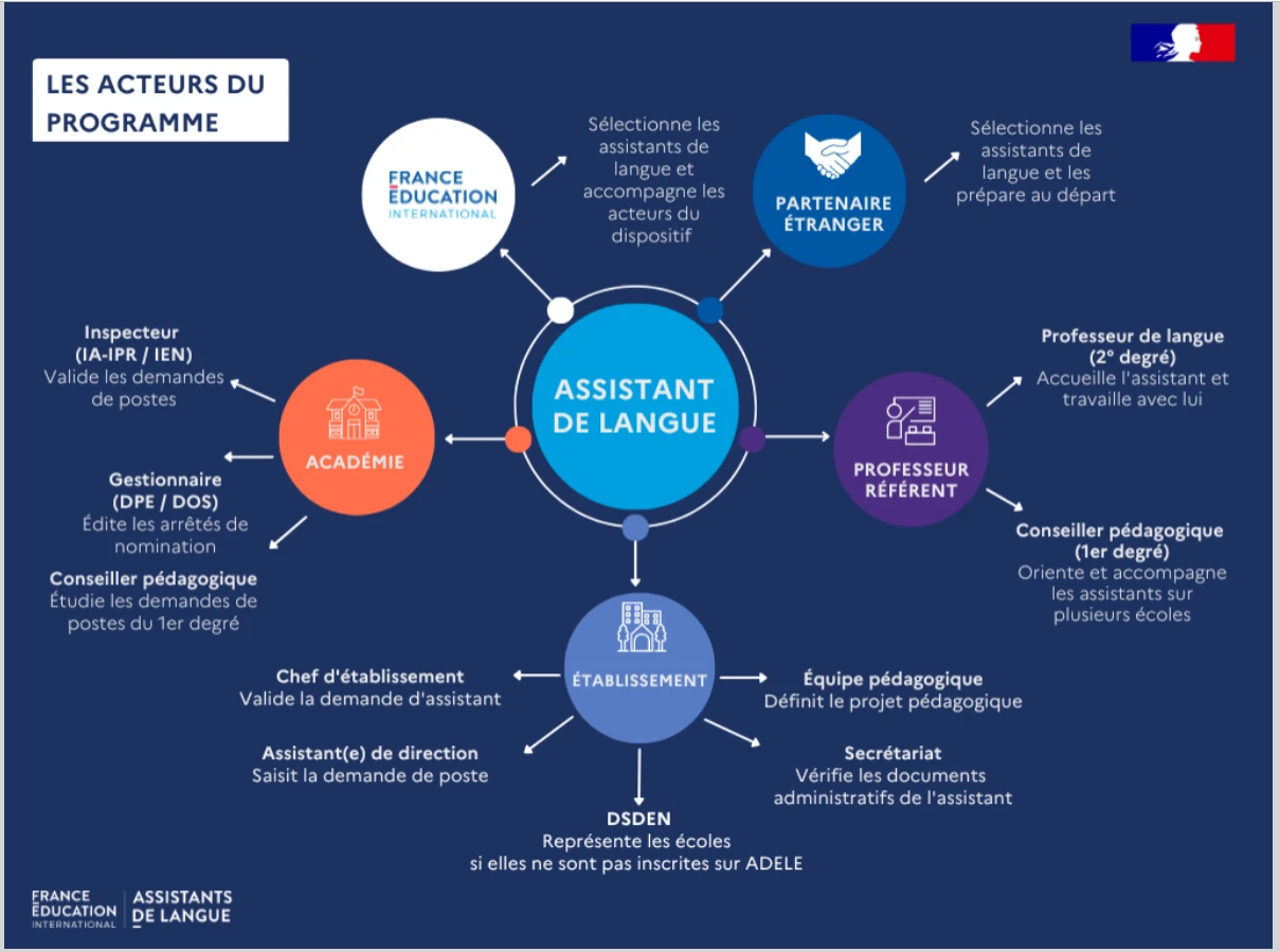 Infographie_Assistants de LVE_Acteurs du programme