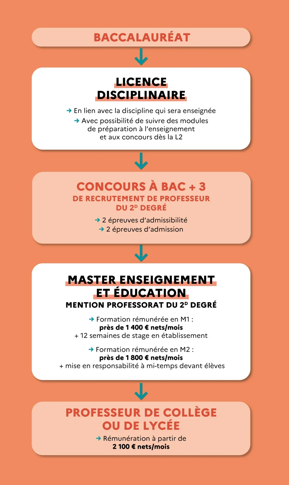 Infographie : parcours de formation pour devenir enseignant
