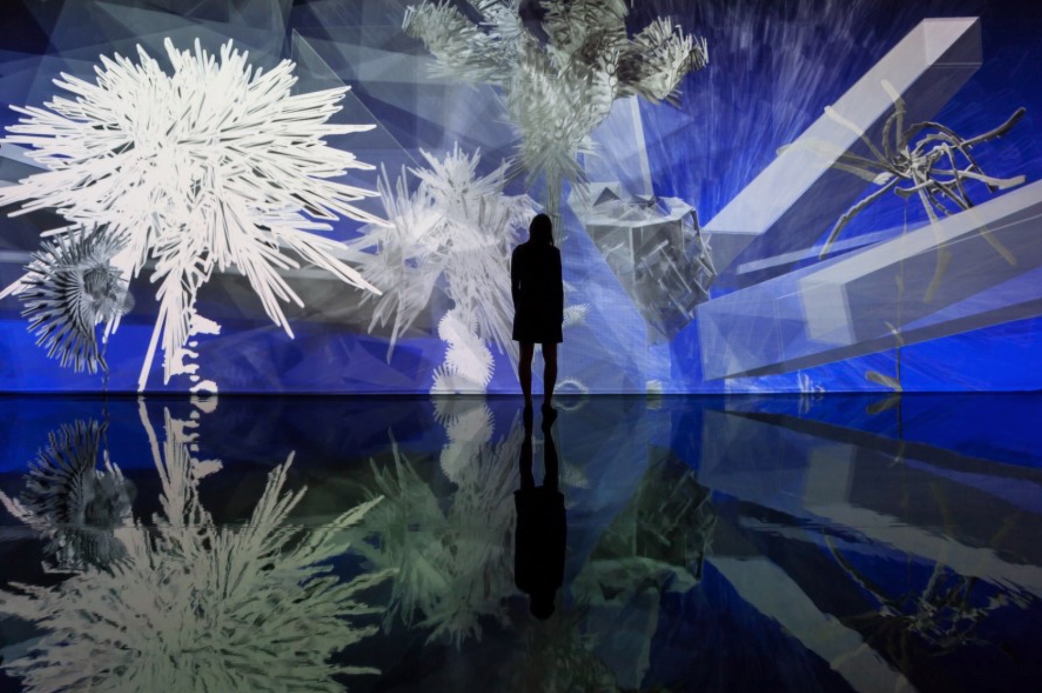 Miguel CHEVALIER, Fractal Flowers, 2014