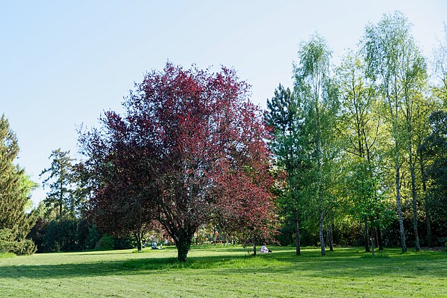 Nantes_-_Parc_de_la_Gaudinière-_007.jpg