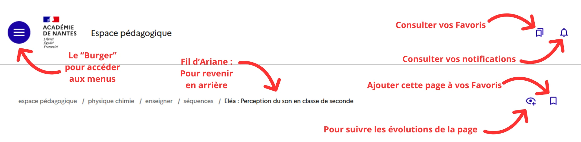 Présentation orientation nouveau site