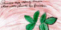 De la terre à l’assiette