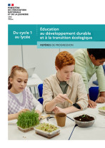 reperes-de-progression-edd-cycle-1-au-lycee