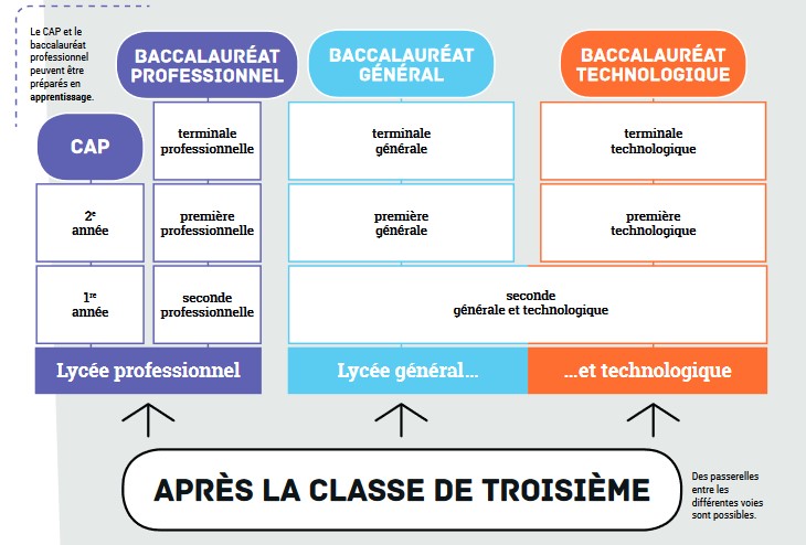 La scolarité au lycée