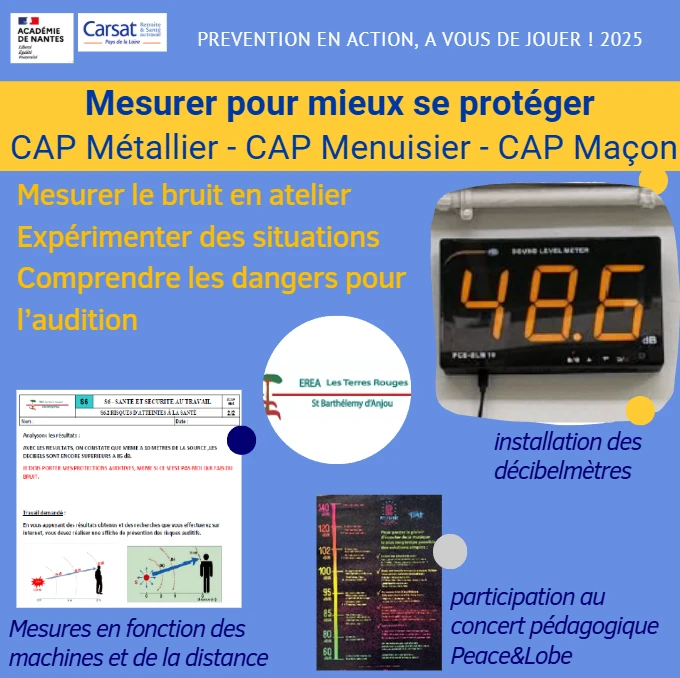 projet EREA 49 synthese 2