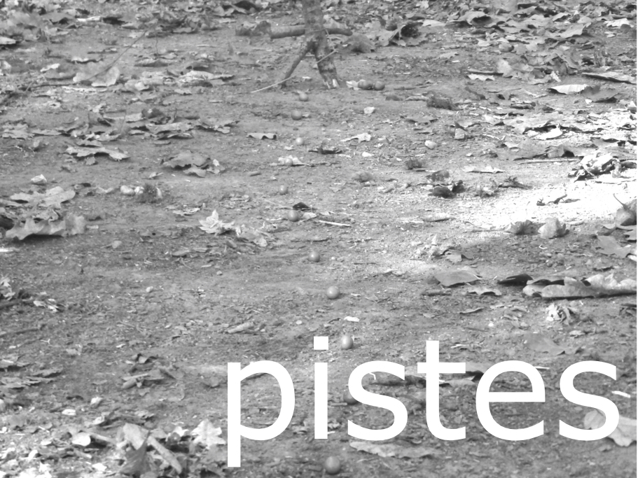 sculpture-temps-pistes