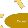 co-animation