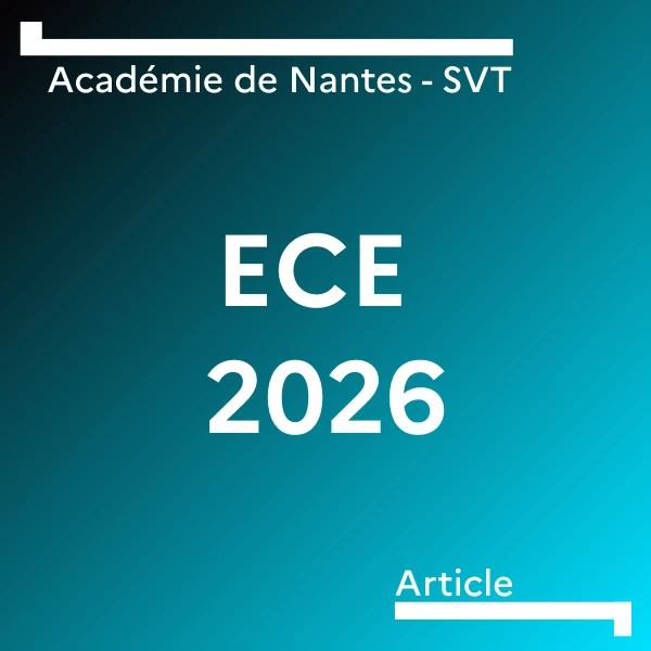 Lien vers la page des ECE 2026